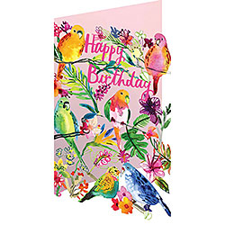 Parrots Birthday Card Parrots Birthday Card