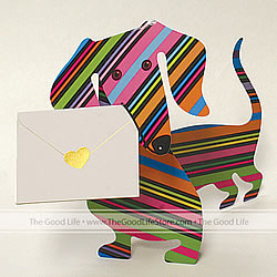 Dylan Card (Dog)