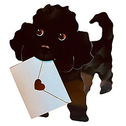 Jazzy Card (Poodle) Jazzy Card (Poodle)