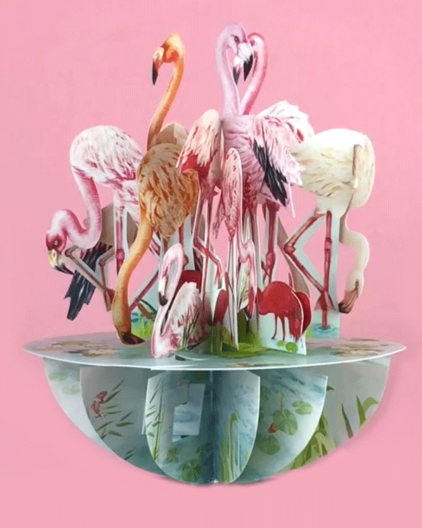 Flamingos Card Flamingos Card