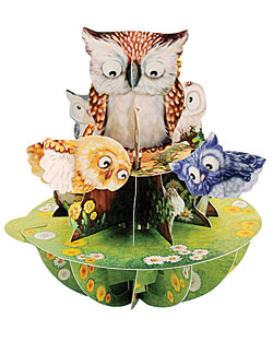 Owls Card Owls Card