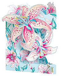 Lily Card Lily Card