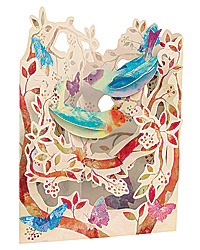 Birds & Butterflies Card