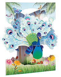 Peacock Card Peacock Card