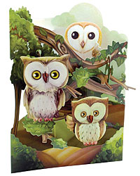 Owls Card Owls Card