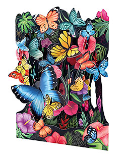 Tropical Butterflies Card Tropical Butterflies Card