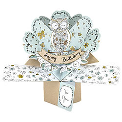 Owl On A Branch Birthday Card Owl On A Branch Birthday Card