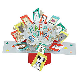 Dog Birthday Card Dog Birthday Card