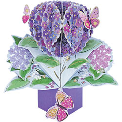 Hydrangea Card