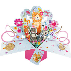 Cats Card (Birthday) Cats Card (Birthday)