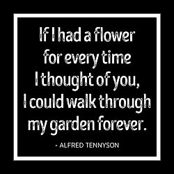 If I Had A Flower Card If I Had A Flower Card