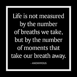 Life Is Not Measured Card Life Is Not Measured Card