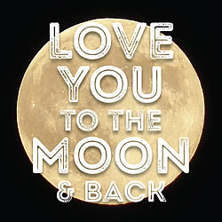 Love You To The Moon And Back Greeting Card