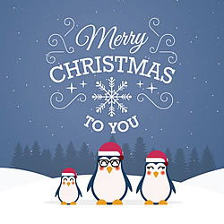 Merry Christmas Penguins Greeting Card