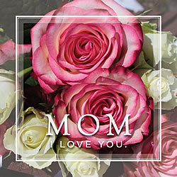 Mom I Love You Greeting Card