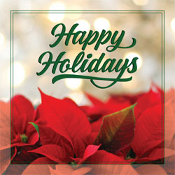 Happy Holdiays (Poinsettias) Greeting Card Happy Holdiays (Poinsettias) Greeting Card