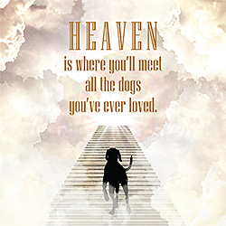 Dog Heaven Card