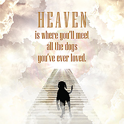 Dog Heaven Card Dog Heaven Card