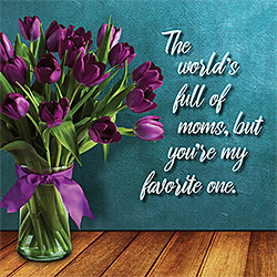 Mom - My Favorite One Card Mom - My Favorite One Card
