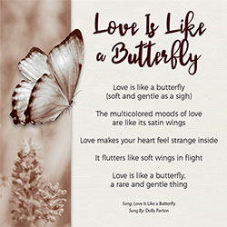 Love Is Like A Butterfly Card