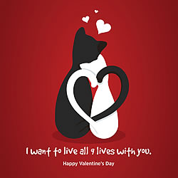 I Want To Live All 9 Lives With You Card I Want To Live All 9 Lives With You Card