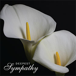 Deepest Sympathy Card (Calla Lilies) Deepest Sympathy Card (Calla Lilies)