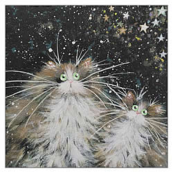 Stargazing Card Stargazing Card