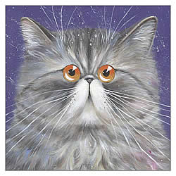 Sally Card Sally Card