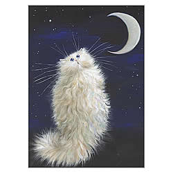 Moon Card Moon Card