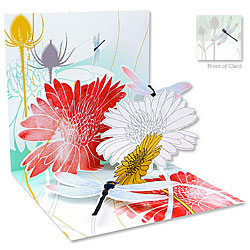 Dragonfly Morning Card Dragonfly Morning Card