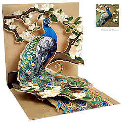 Peacock & Magnolias Card Peacock & Magnolias Card