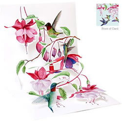 Hummingbirds Card Hummingbirds Card