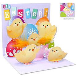 Chick and Eggs Card Chick and Eggs Card