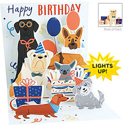 Woof Party Light Card