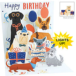 Woof Party Light Card Woof Party Light Card