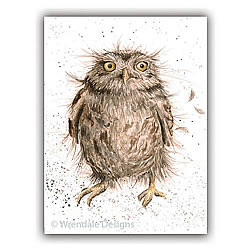 What a Hoot Card (Owl)