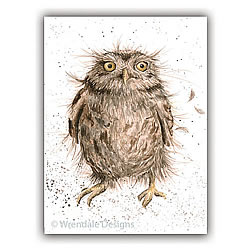 What a Hoot Card (Owl) What a Hoot Card (Owl)