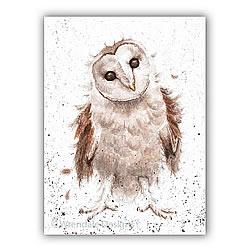 Curiouser & Curiouser Card (Owl)