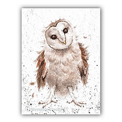 Curiouser & Curiouser Card (Owl) Curiouser & Curiouser Card (Owl)