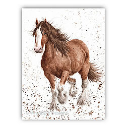 Feathers Card (Horse)
