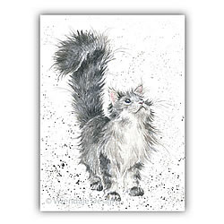 Lady of the House Card (Cat)