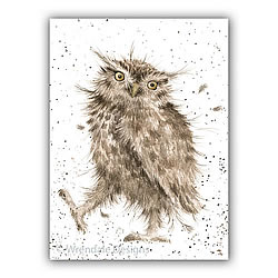 Little Hoot Card (Owl)