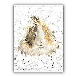 Style Queen Card (Guinea Pig) Style Queen Card (Guinea Pig)