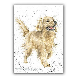Golden Boy Card (Dog) Golden Boy Card (Dog)