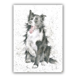 Shadow Card (Border Collie)