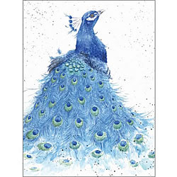 Tail Envy Card (Peacock) Tail Envy Card (Peacock)