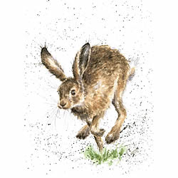 The Bounder Card (Rabbit) The Bounder Card (Rabbit)