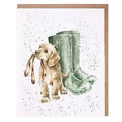 Hopeful Card (Puppy) Hopeful Card (Puppy)