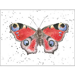 The Peacock Card (Moth)