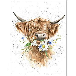 Daisy Cow Card (Cow) Daisy Cow Card (Cow)